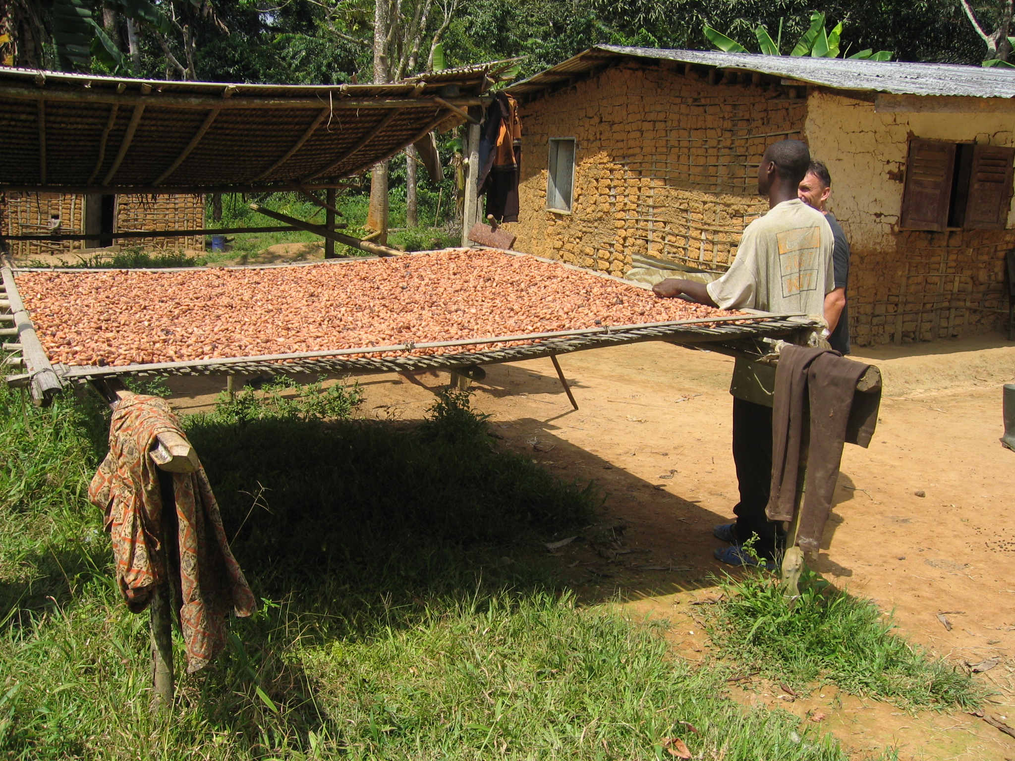 Die Kakaobohnen werden auf Matten an der Sonne getrocknet, bis sie den idealen Feuchtigkeitsgrad von etwa acht Prozent erreicht haben. 