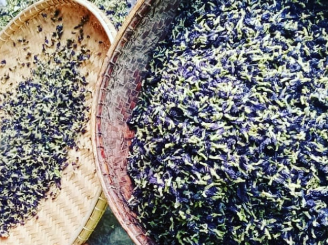 Blue butterfly tea - hand-selected, sun-dried