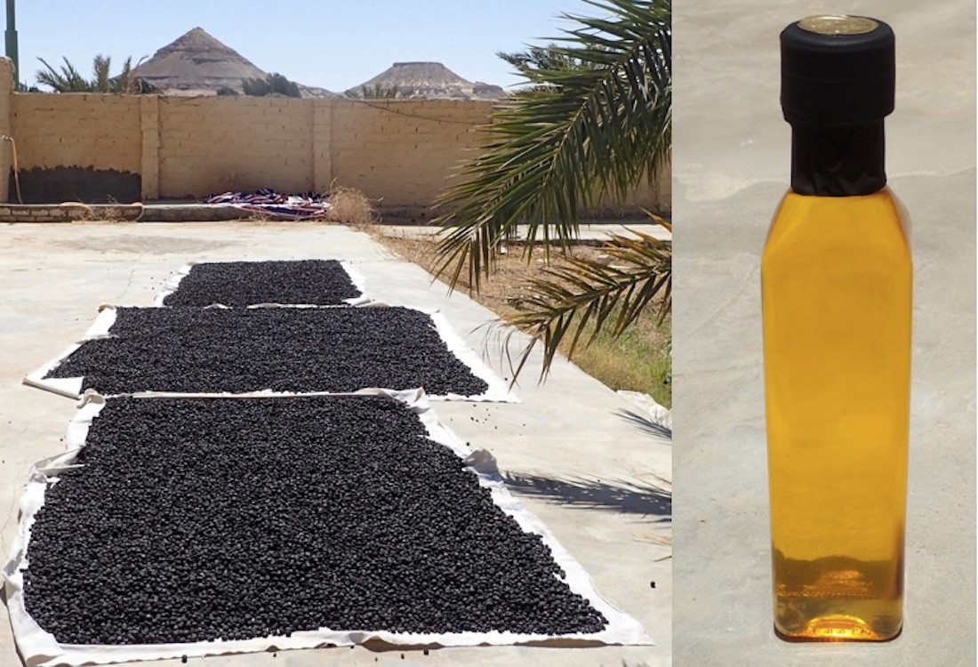 Die schwarzen Oliven werden an der Sonne getrocknet, gewaschen und erneut getrocknet. Danach presst ein Spezialist sie nach traditioneller Art. Das Ergebnis ist das traditionelle "Wahaty"-Olivenöl, das sehr intensiv im Geschmack ist. Daher eignet es sich 