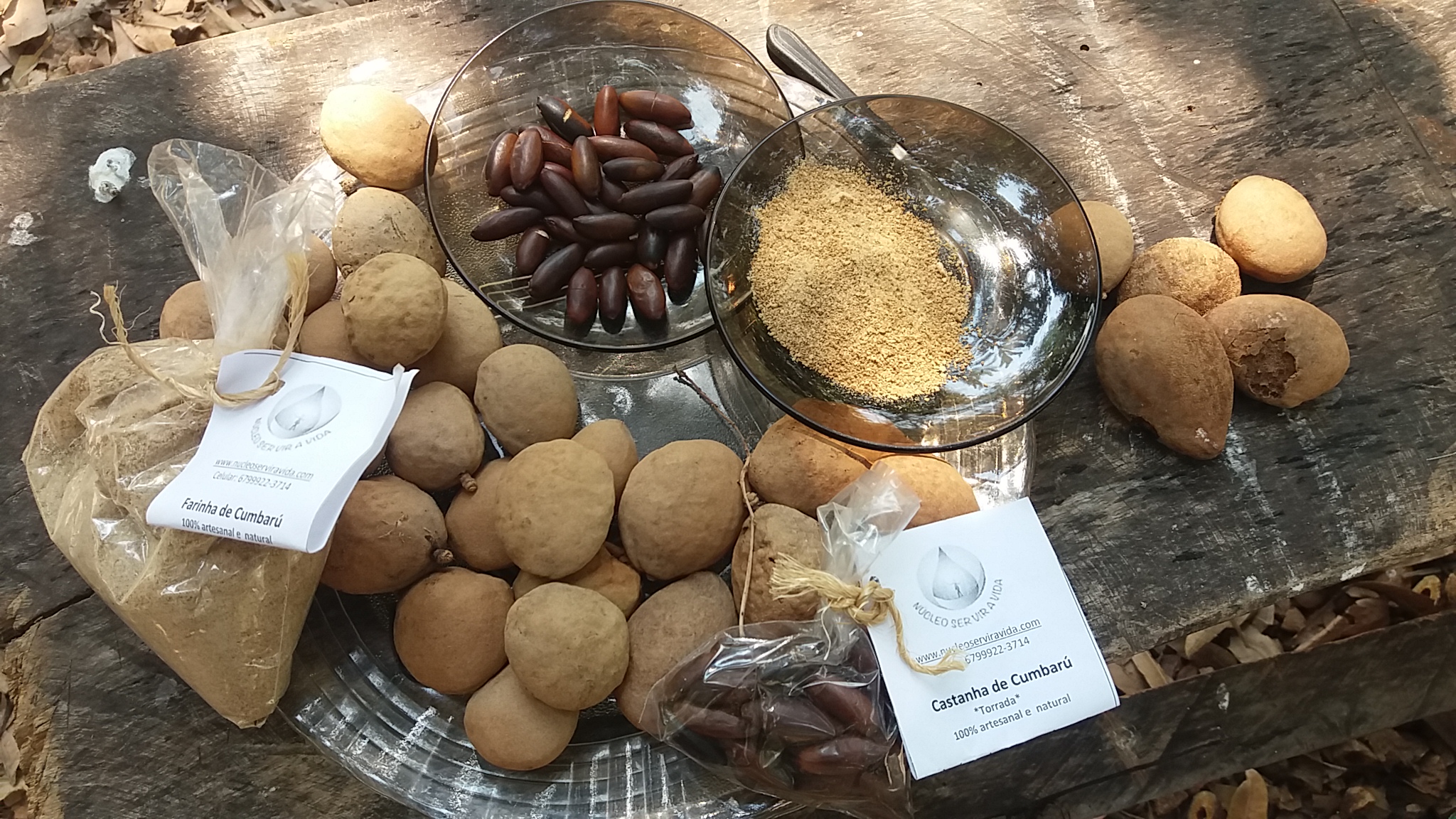 Auf diesem Bild sind verschiedene Baru-Produkte zu sehen: die gerösteten Nüsse, ein Mehl, ein Granulat, und auch die ganze Frucht.