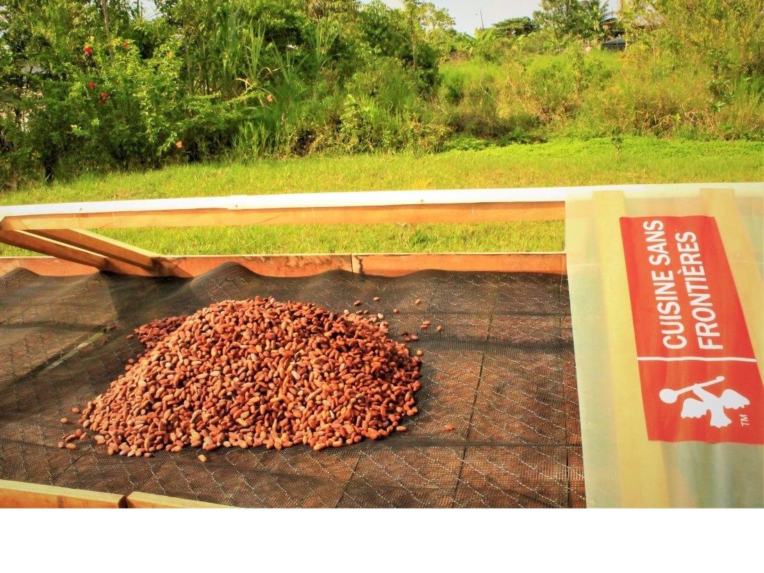 Fermentierter Kakao bereit für die Trocknung - in den Post-Ernte-Installationen der Kooperative Kichwa Choco Samona Yuturi.  