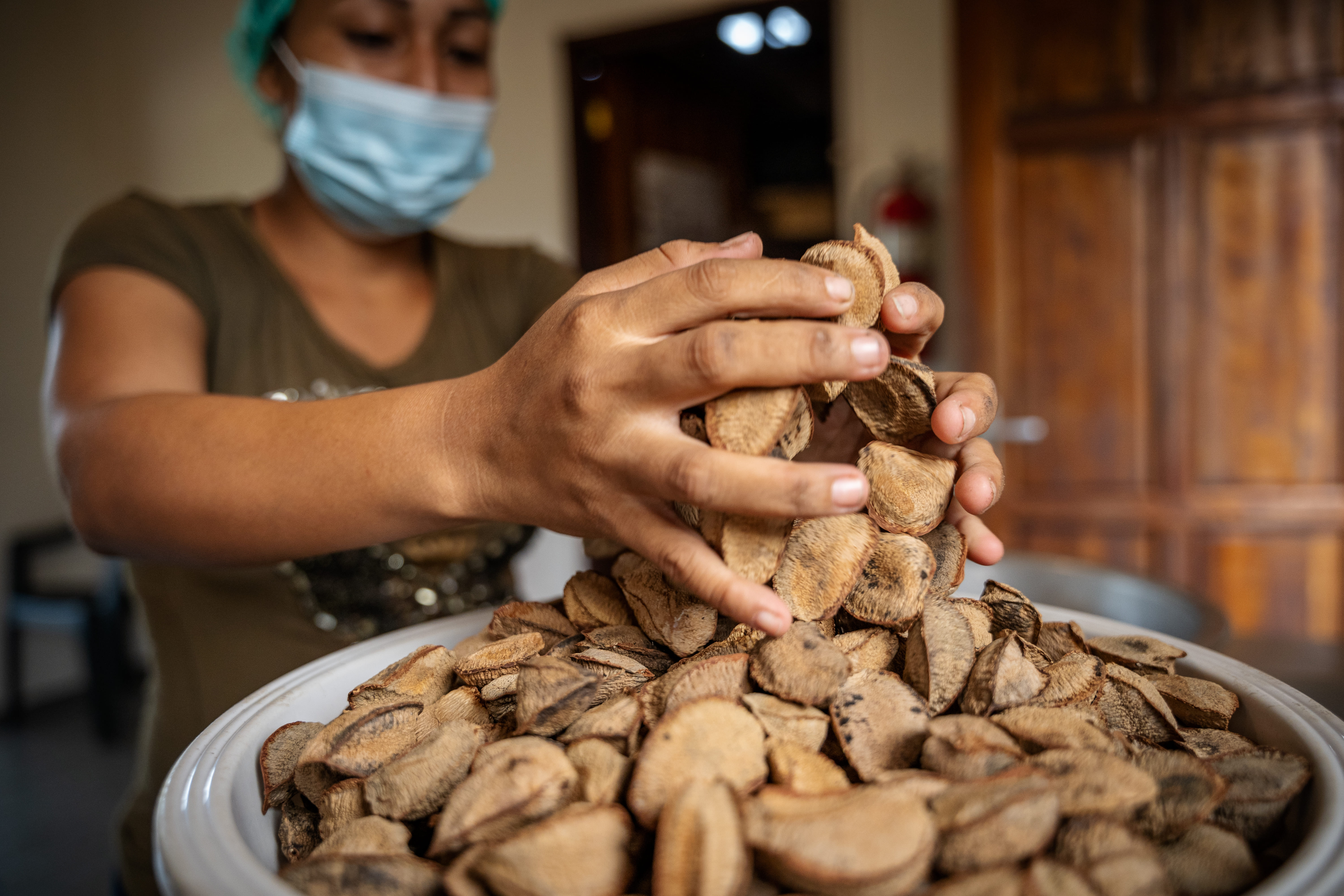 Brazil nuts are plenty here, though collecting and processing them is hard work.
