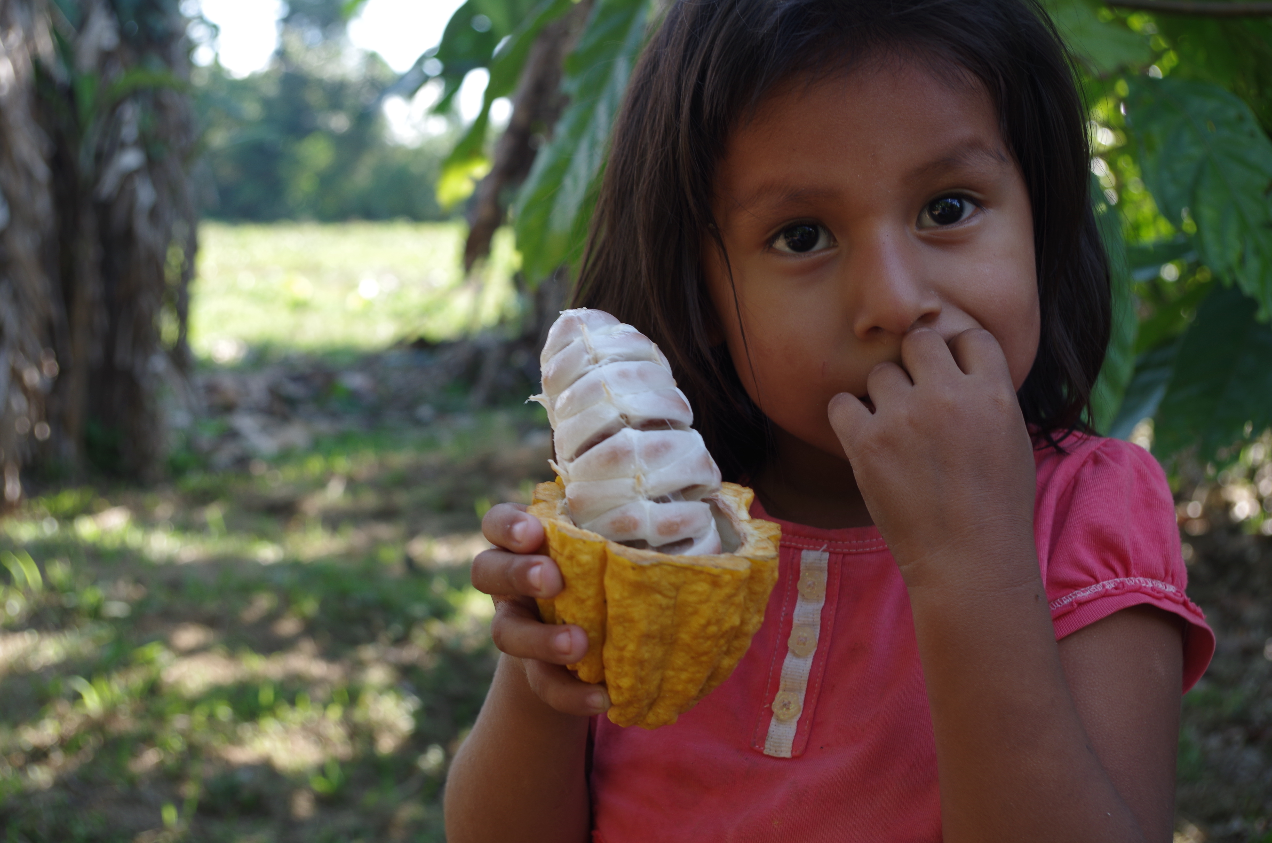Kakao für eine bessere Zukunft der Kinder in der Region! © Nils Krauer