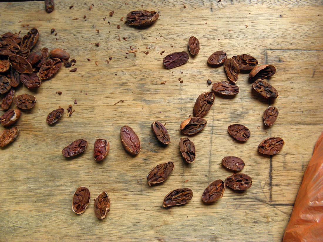 Fermentierter Amazonas Single Origin Feinaroma-Kakao von der Kooperative Choco Samona Yuturi. 